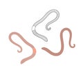 Earthworm logo. Isolated earthworm on white background